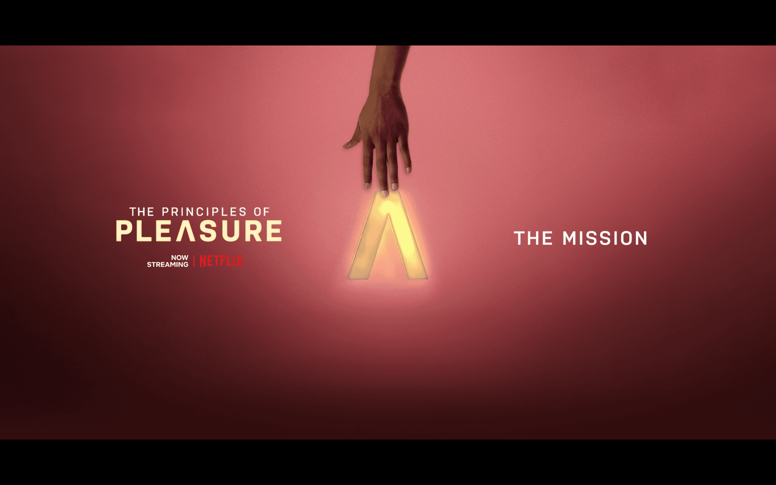 Netflix: The Principles of Pleasure