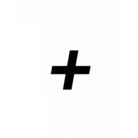 Glyph 308