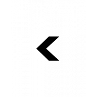 Glyph 313