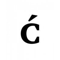 Glyph 307