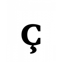 Glyph 309
