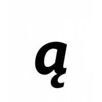 Glyph 172