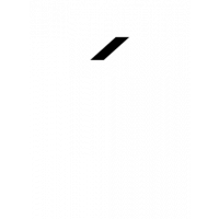 Glyph 299