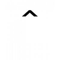 Glyph 301
