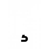 Glyph 307