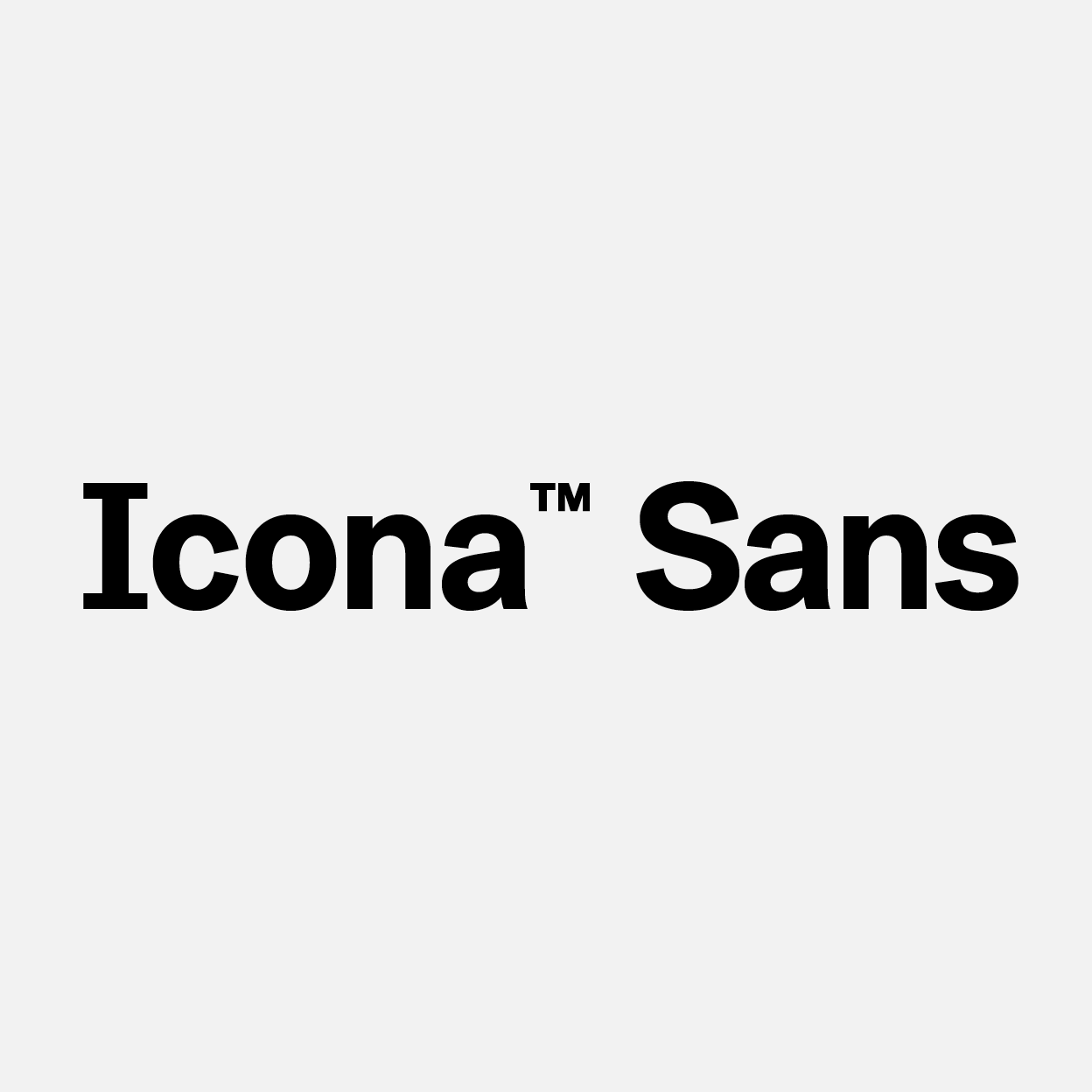 Home Item Big IconaSans2 1