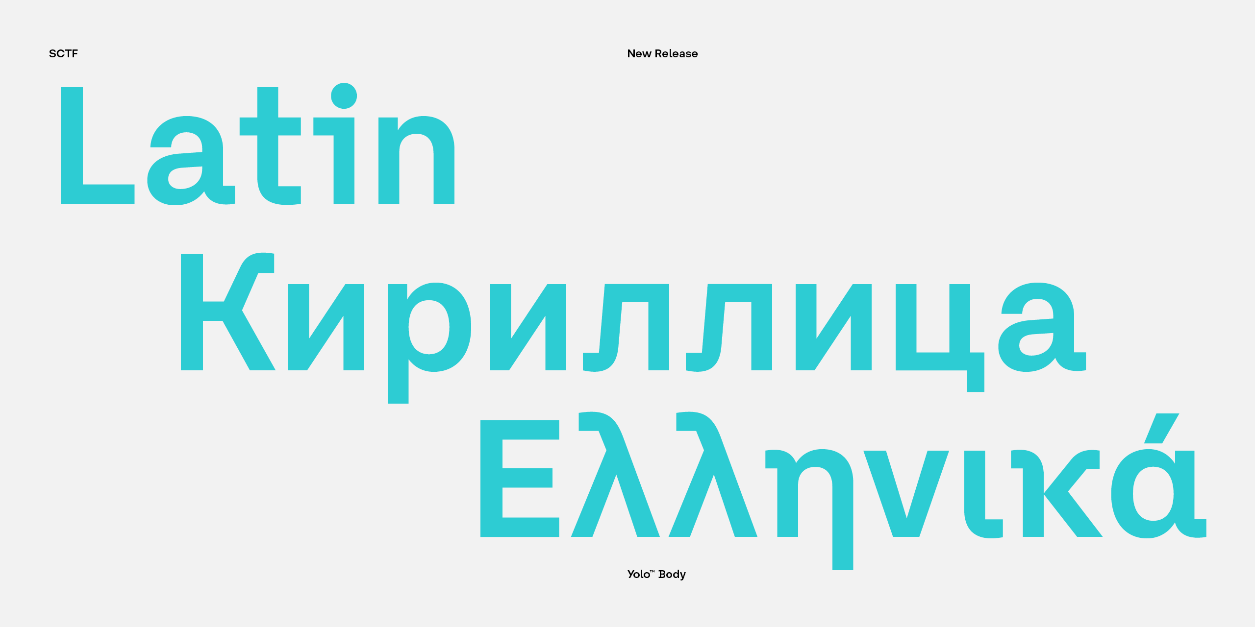 Slideshow YoloBody 13