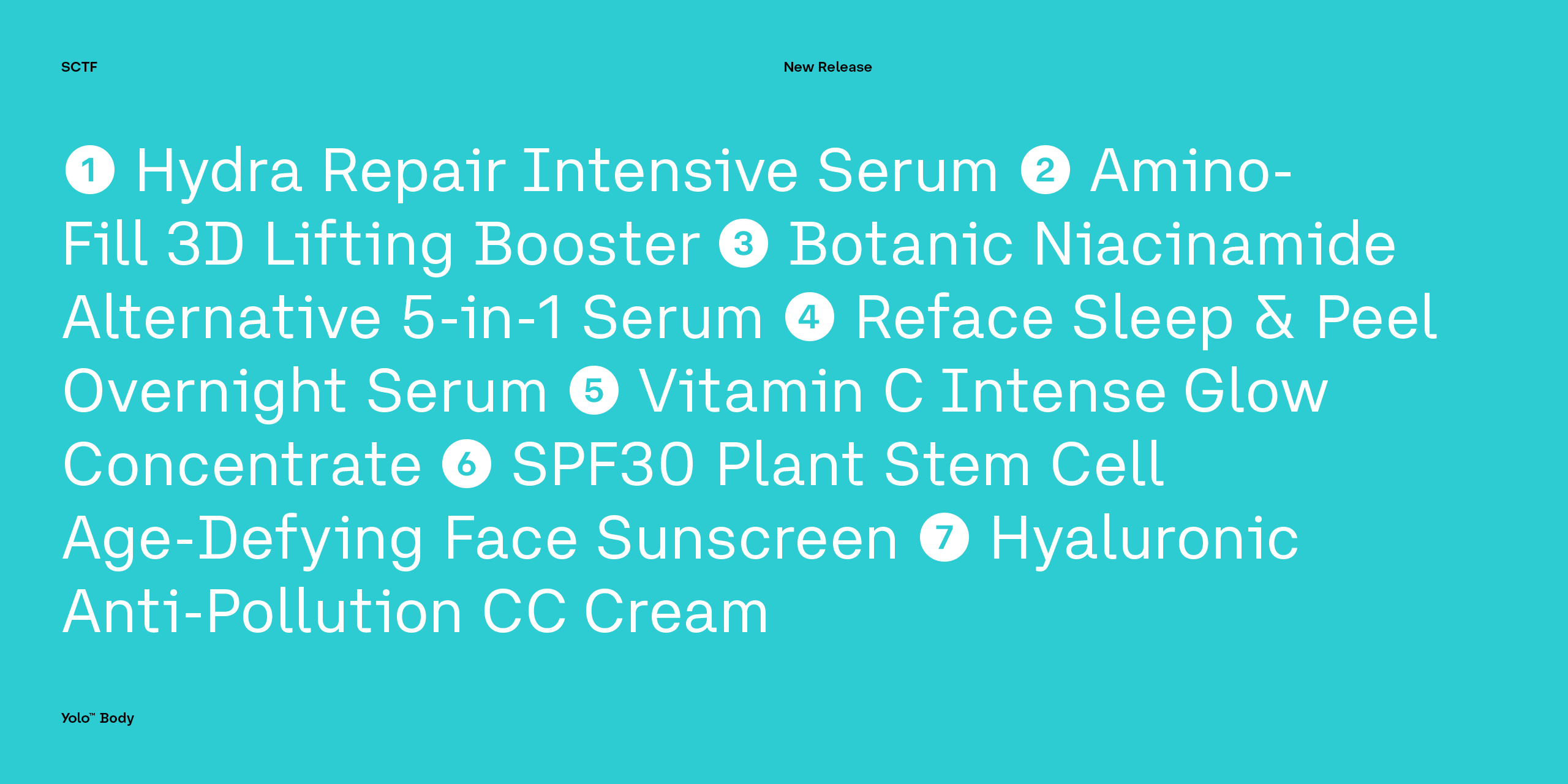 Slideshow YoloBody 15