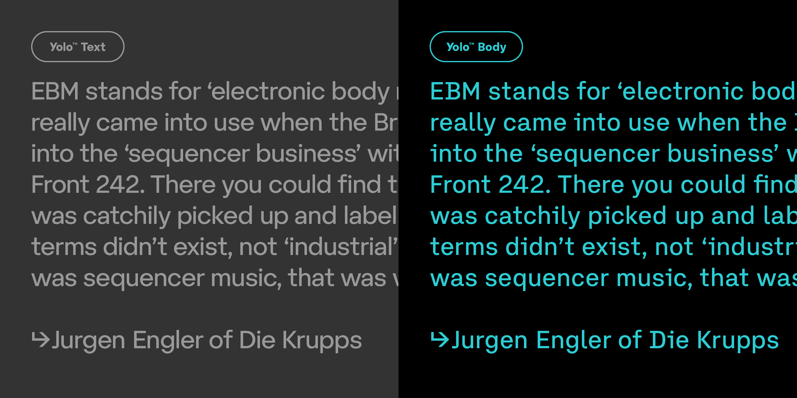 Slideshow YoloBody 5