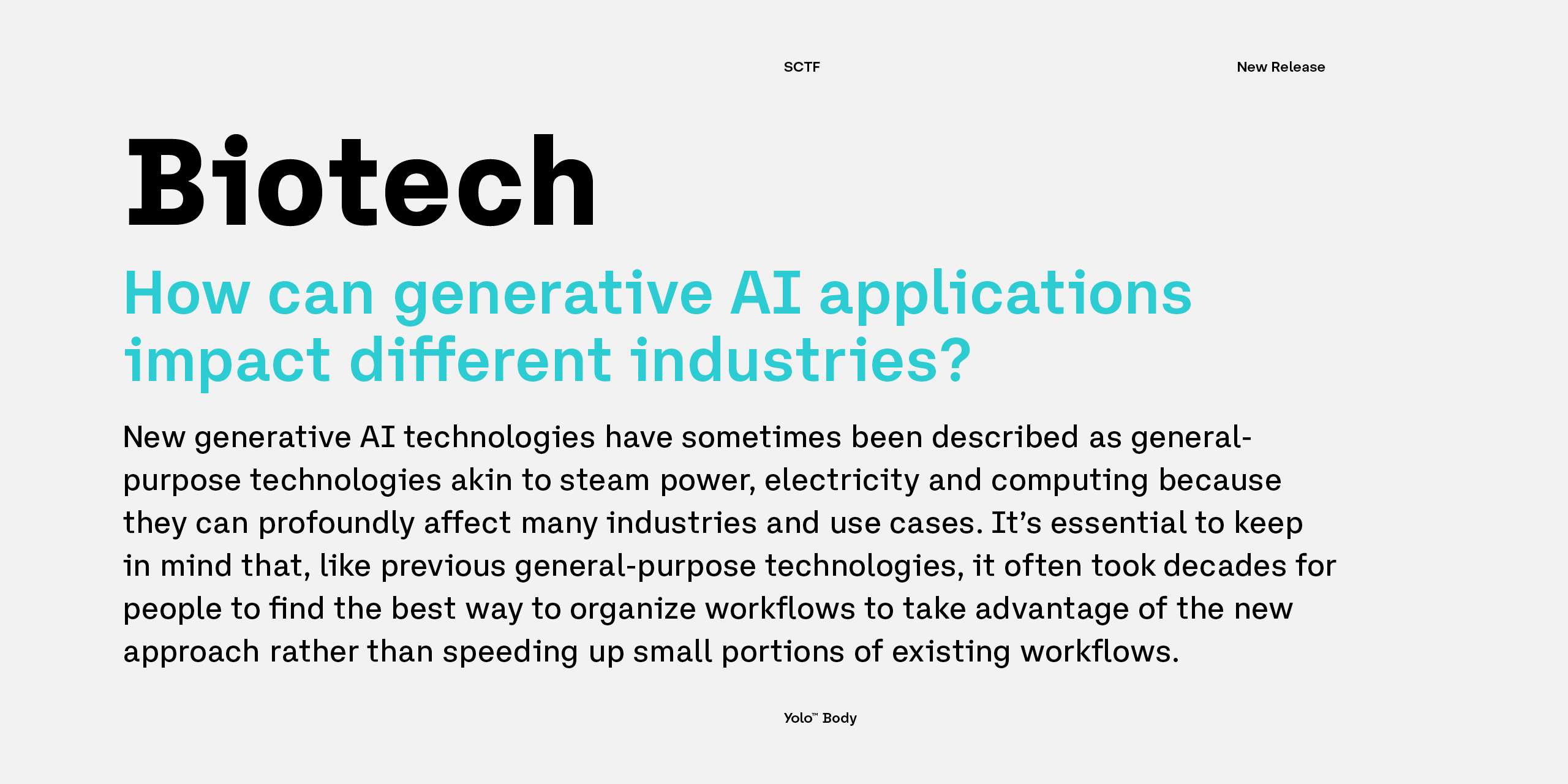 Slideshow YoloBody 6