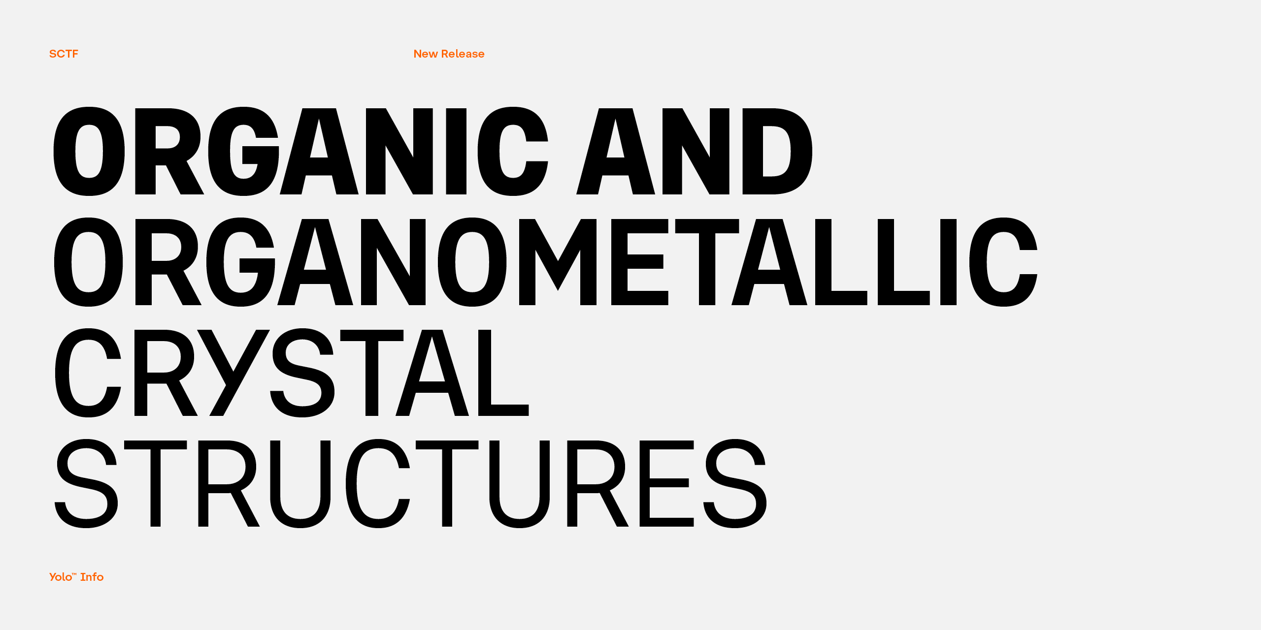 Slideshow YoloInfo 10