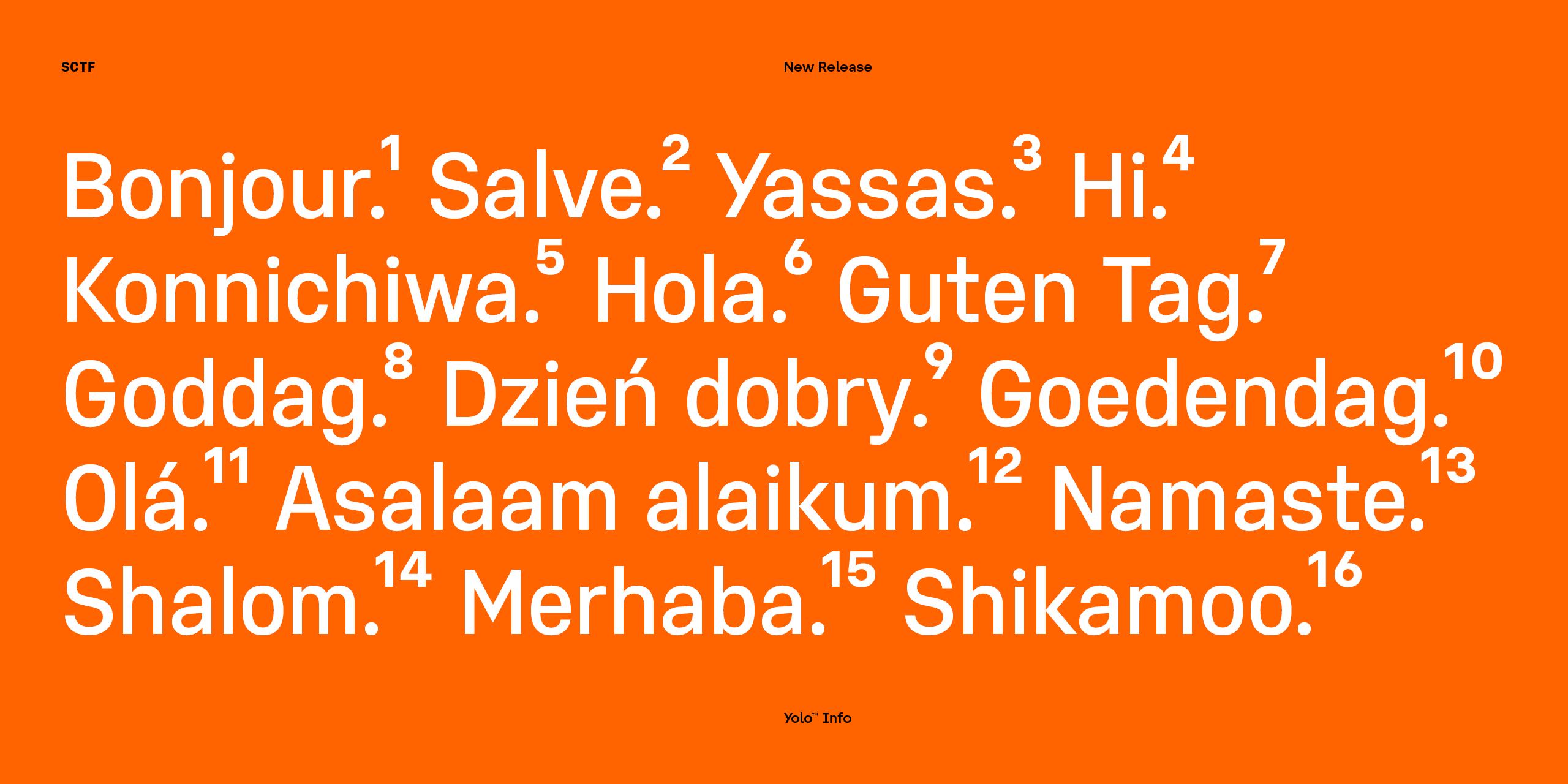 Slideshow YoloInfo 16