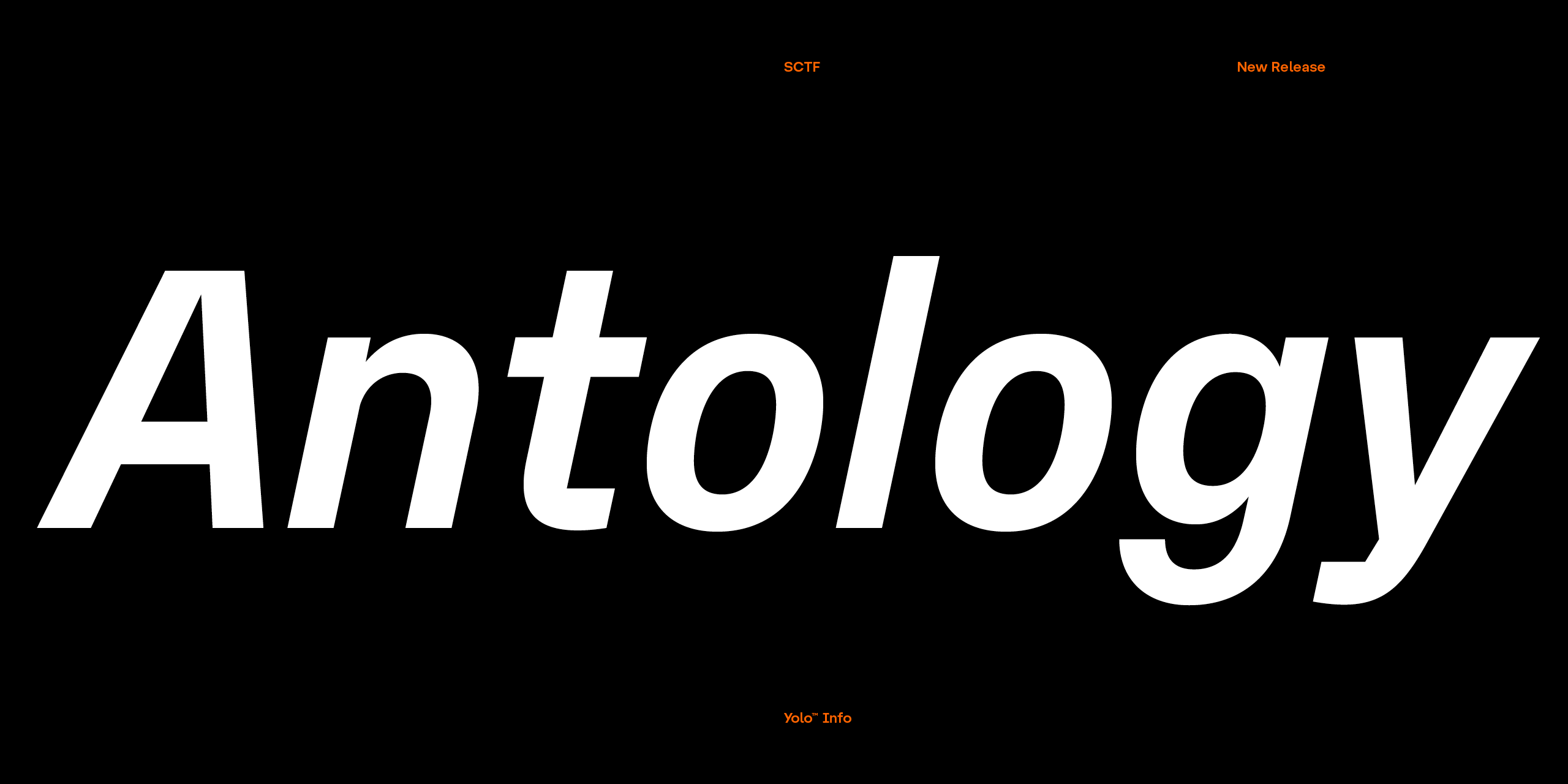 Slideshow YoloInfo 17